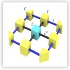 Entanglement and topology in interacting quantum matter