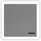 2nd Autumn School on Soft Condensed Matter